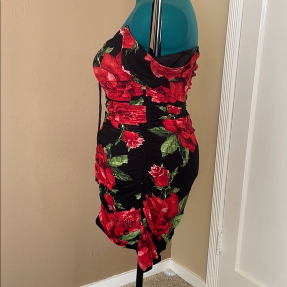 La Rosita Mini Dress - Picture 11 of 15